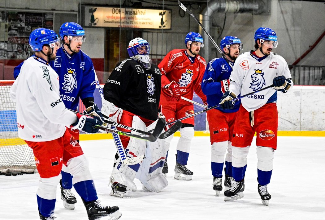 Čeští hokejisté se připravují na start Švýcarských hokejových her
