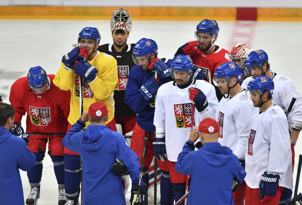 Česká hokejová reprezentace v Praze během tréninku na Světový pohár