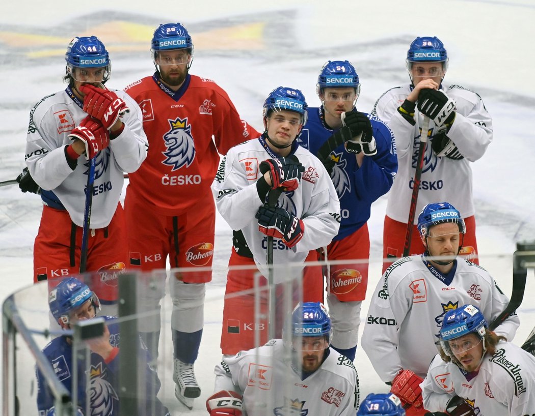 Čeští hokejisté na tréninku