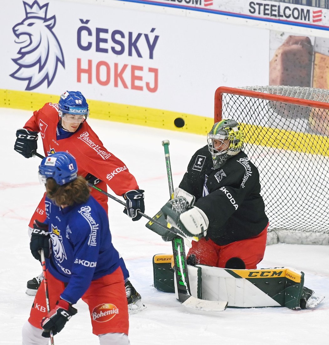 Čeští hokejisté na tréninku