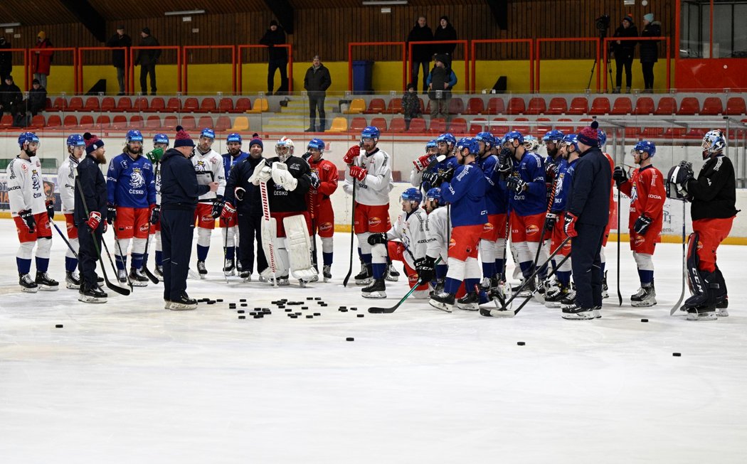 Čeští hokejisté na reprezentačním tréninku