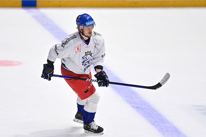 Zklamání v reprezentaci už bylo dost, říká Chlapík. MS je pro něj motivací Zklamání v reprezentaci už bylo dost, říká Chlapík. MS je pro něj motivací