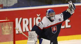 Chomutov má novou jedničku! Z KHL přichází Slovák Laco