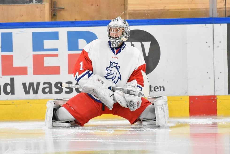 Dvacítka před MS: Největší rébus je v brankovišti. Zlato? Čechům se věří víc než obhájcům Dvacítka před MS: Největší rébus je v brankovišti. Zlato? Čechům se věří víc než obhájcům