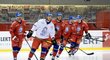 Čeští hokejisté na prvním společném tréninku přípravy před mistrovstvím světa v Bratislavě