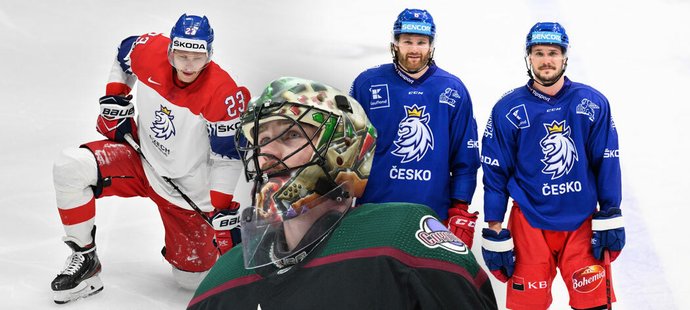 České hokejové reprezentaci se rýsuje sestava pro MS ve Finsku. Deník Sport vybral ideální složení ze současné soupisky