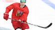 Některým přijde kampaň v rámci hokejového MS v Česku jako nedostačující. Některým přijde kampaň v rámci hokejového MS v Česku jako nedostačující.