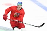 MS v hokeji ONLINE: Česká kabina si zvolila staronový goal song