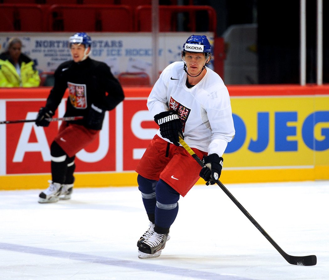 K českému týmu se připojila posila ze zámoří, útočník Martin Erat