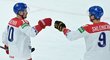 Kapitán národního týmu Roman Červenka oslavuje první gól na MS ve Finsku