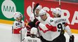 Švýcarští hokejisté se radují z gólu útočníka Tima Meiera (uprostřed)