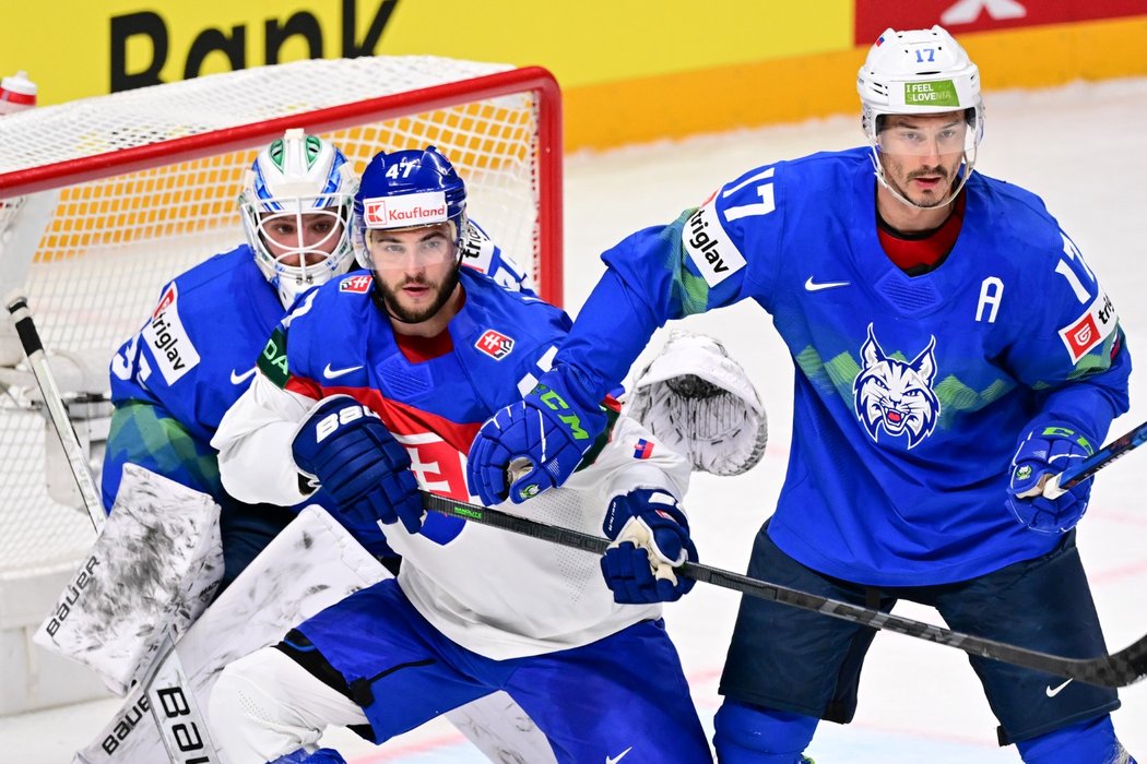 Slovenský reprezentant Mário Lunter se snaží clonit před slovinskou brankou