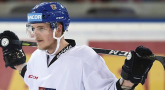 Nestrašil: Hráči z NHL na MS? Každý řeší svoje šance. Já si čárky nedělám