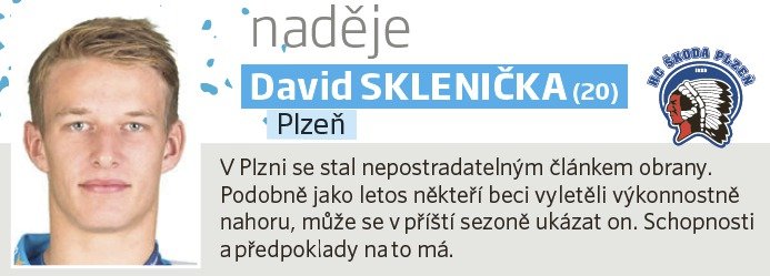 David Sklenička