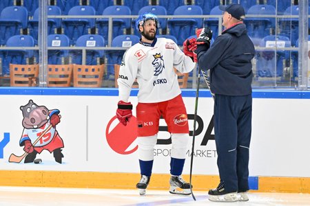 Od české hokejové reprezentaci se odloučil zkušený útočník Tomáš Hyka