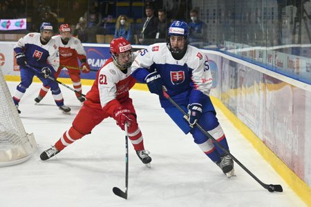 Slovenský talent Dalibor Dvorský v zápase proti Dánsku