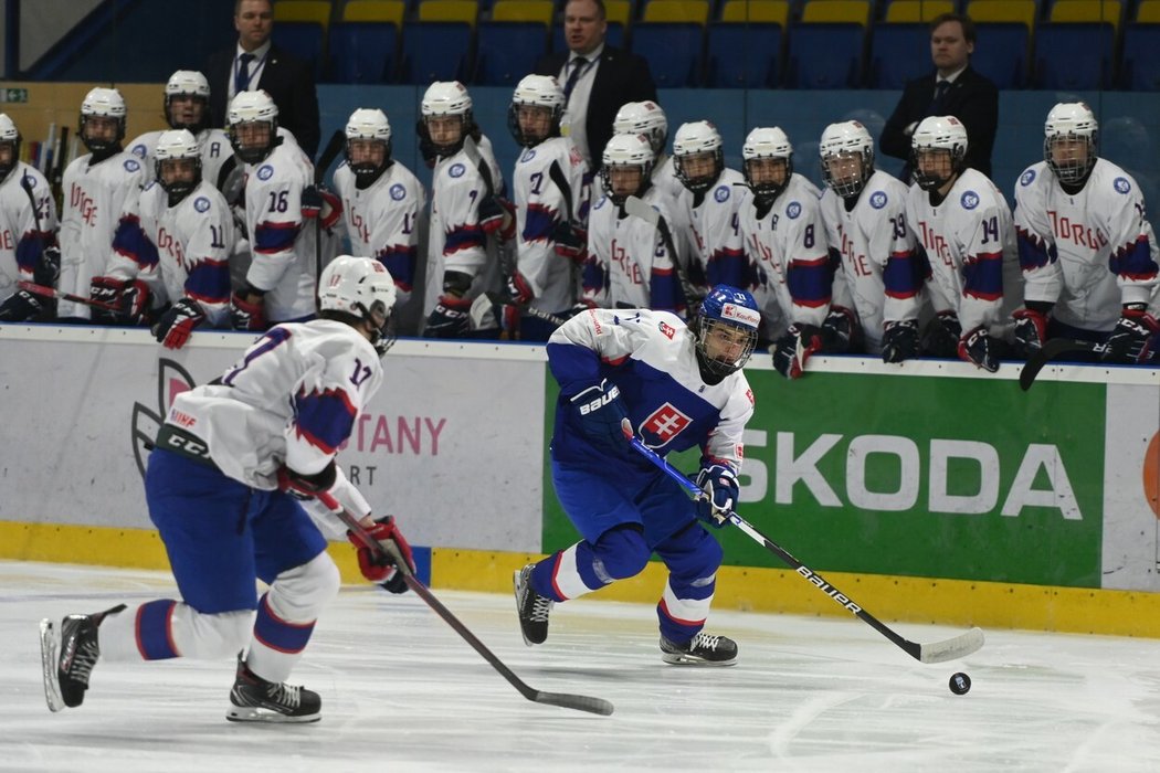 Slovenský útočník Ondrej Molnár v zápase s Norskem