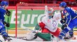 Český hokej přišel s novým návrhem pro reprezentační sezonu
