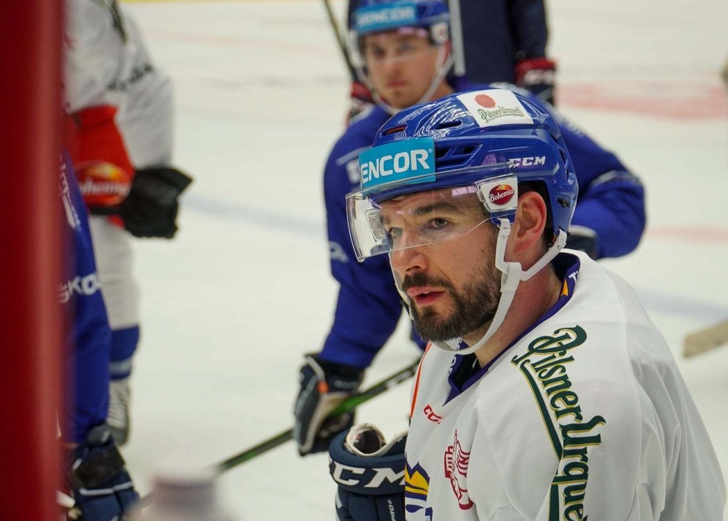 Zkušený útočník Michal Birner se vrátil do hokejové reprezentace po téměř třech letech