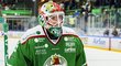 Hokejový brankář Roman Will se ze Švédska přesouvá do KHL