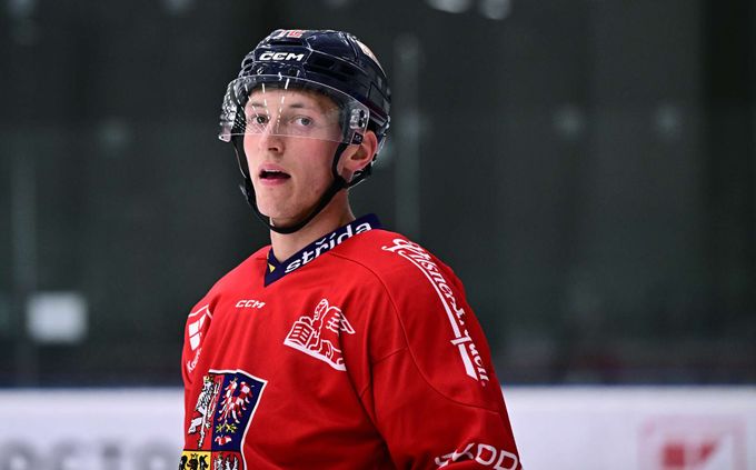 Šalé plánuje překopat svůj hokej, aby se přiblížil NHL. Co návrat do Komety? Šalé plánuje překopat svůj hokej, aby se přiblížil NHL. Co návrat do Komety?