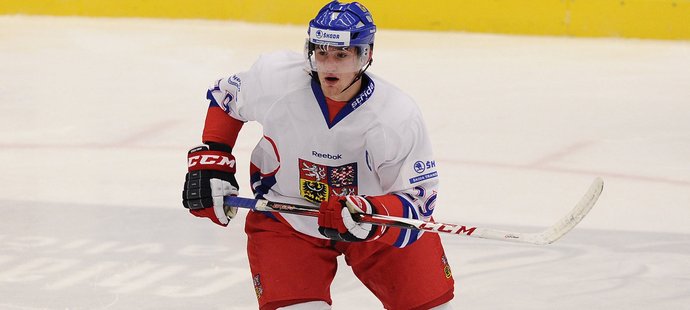 Lukáš Sedlák ozdobil premiéru v KHL gólem (archivní foto)