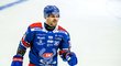 Český útočník Jiří Smejkal se v dresu švédského Oskarshamnu víc než dobře připravil na boj o NHL
