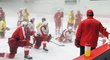 Hokejová Slavia přerušuje přípravu na novou sezonu