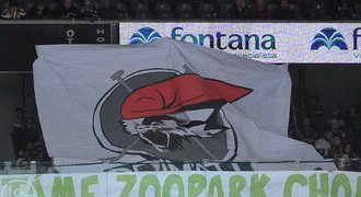 Piráti, bravo. Takhle může zmizet svinstvo ze stadionů