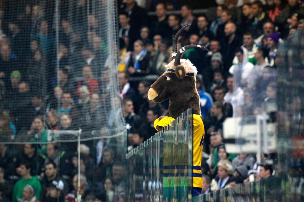 Kozoroh, maskot Spenglerova poháru, sleduje zápas Vítkovic s Ufou