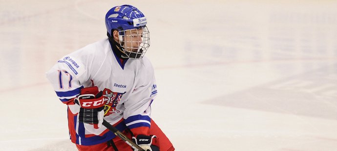 Hokejový svaz schválil změny u přestupování nejmladších hokejistů (ilustrační foto)