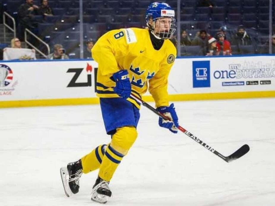 Obránce Buffala Sabres Rasmus Dahlin