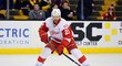 Tomáš Tatar (Detroit Red Wings)