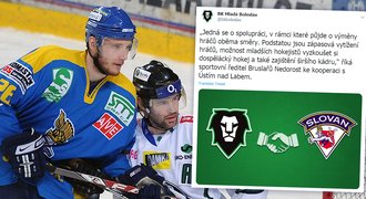 Před lety rivalové, teď partneři. Mladá Boleslav spojila síly s Ústím