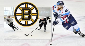 Zachar zaujal NHL, pral se o smlouvu v Bostonu: Obrovská pocta a motivace