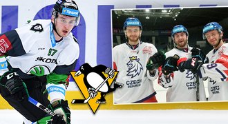 Zohorna o Penguins i vzoru Crosbym. Bratrský útok v NHL? Neprohloupili by