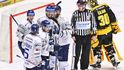 Plzeňští hokejisté se radují z gólu do sítě Litvínova