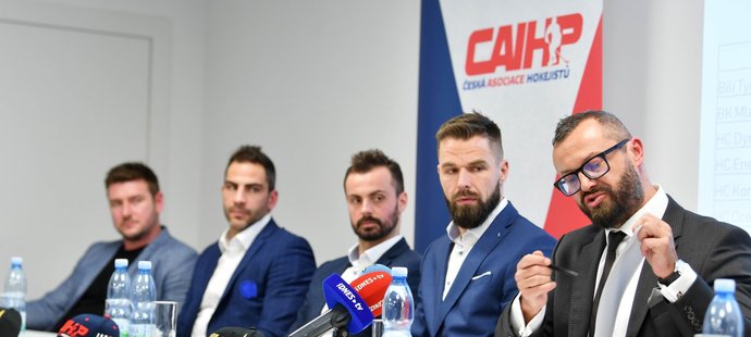 Proč profesionální sport přerušit úplně? Na to nejsou argumenty! Také Česká asociace hokejistů se ostře ohrazuje proti povinné stopce.