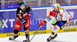 Olomouc při úterním zápase play-off proti Pardubicím uctí Adámkovu památku minutou ticha Olomouc při úterním zápase play-off proti Pardubicím uctí Adámkovu památku minutou ticha
