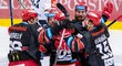 Radost hokejistů Hradce, kteří po 178 minutách konečně překonali Kváču v brance Liberce