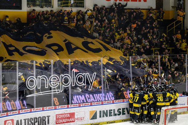 Litvínovští fanoušci berou sérii proti Třinci hodně emotivně Litvínovští fanoušci berou sérii proti Třinci hodně emotivně