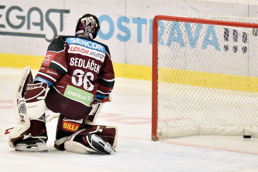 Brankář Jakub Sedláček po smolné brance inkasované z hokejky Petera Tršky