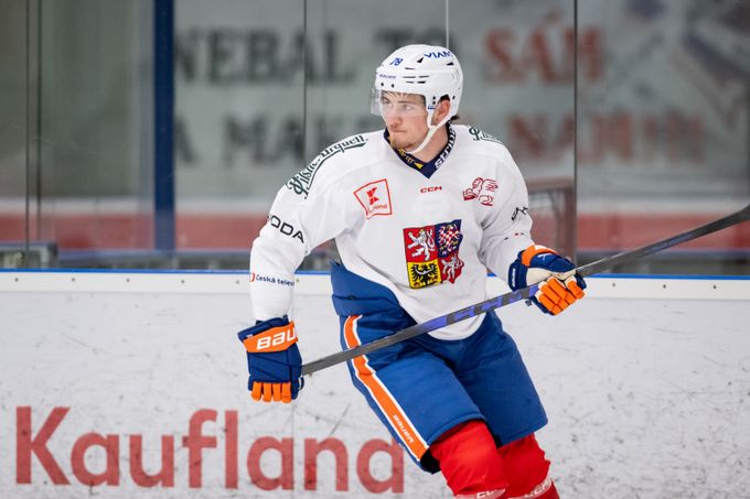 Poletín vyhlíží dvacítku i kemp Islanders: Chci se dobře připravit. AHL by mě lákala Poletín vyhlíží dvacítku i kemp Islanders: Chci se dobře připravit. AHL by mě lákala