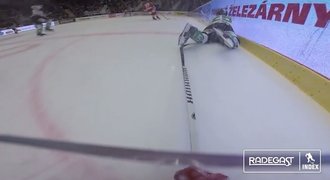 VIDEO: Podívejte se, jak prožívá hokejový zápas třinecký Klesla