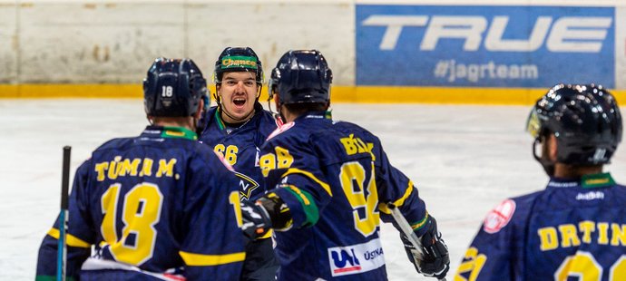 Hokejisté Ústí nad Labem porazili v sobotním programu hokejové první ligy Havířov