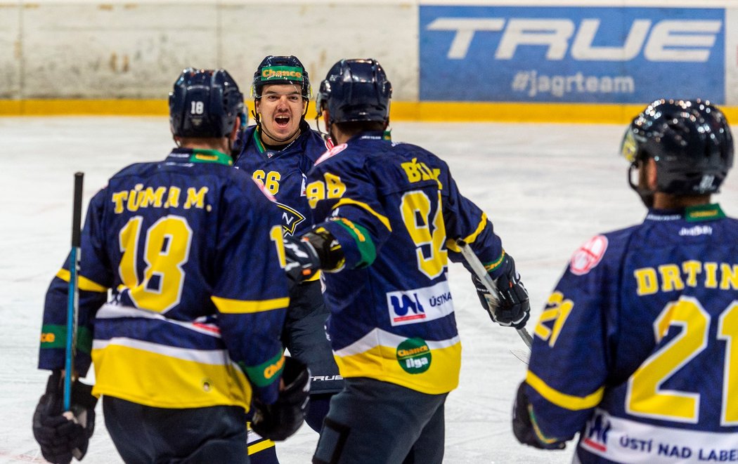 Hokejisté Ústí nad Labem porazili v sobotním programu hokejové první ligy Havířov