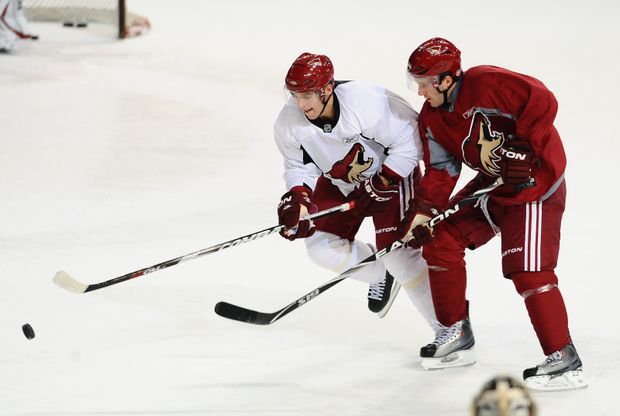 Radim Vrbata v souboji s Lee Stempniakem. Radim Vrbata v souboji s Lee Stempniakem.