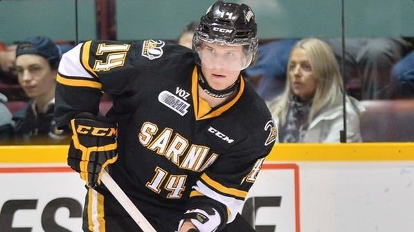 Pavel Zacha září v zámořské juniorské lize v dresu Sarnia Sting.