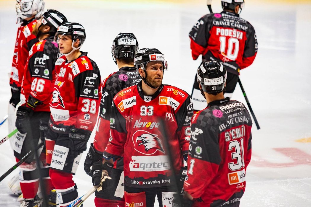 Hokejisté Orlů Znojmo v mezinárodní lize ICEHL
