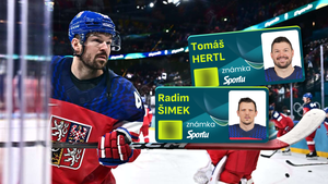 ZNÁMKY Česka: Hertl bloudil jako tygr v džungli, Šimek odvedl standard. Zápas blbec pro... ZNÁMKY Česka: Hertl bloudil jako tygr v džungli, Šimek odvedl standard. Zápas blbec pro...